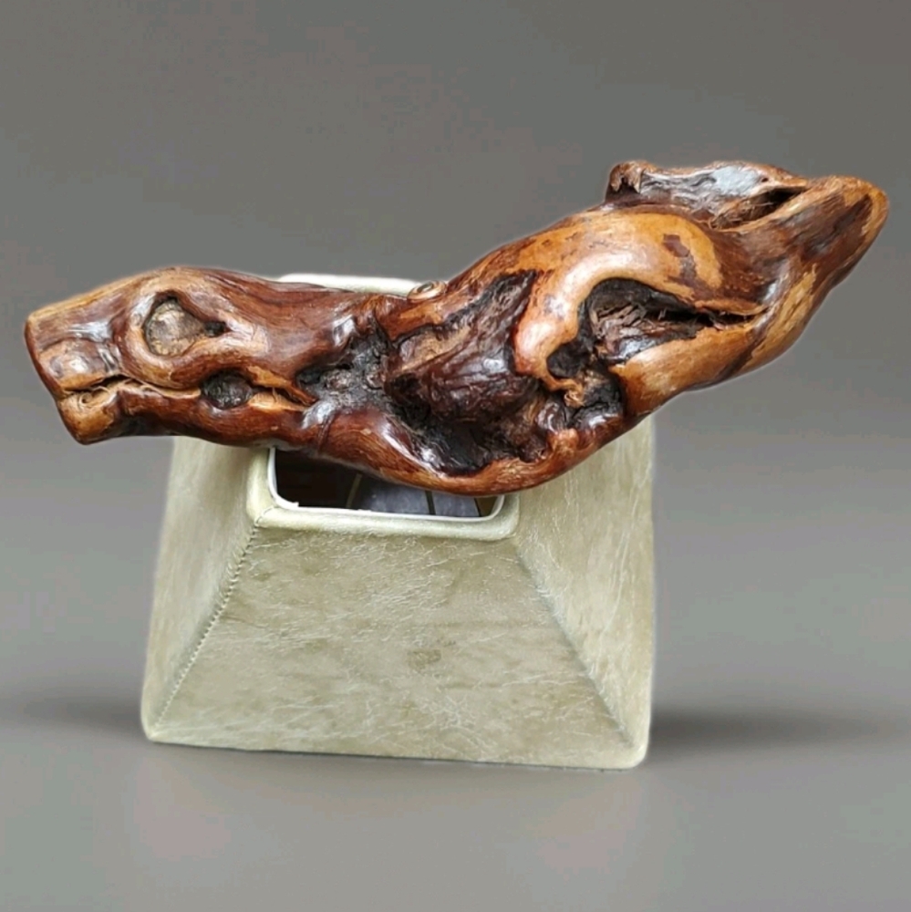 Grape Vine Root Wood Handle Corkscrew Knotty Burl Bar Unique Exotic Show Piece! - Picture 4 of 9